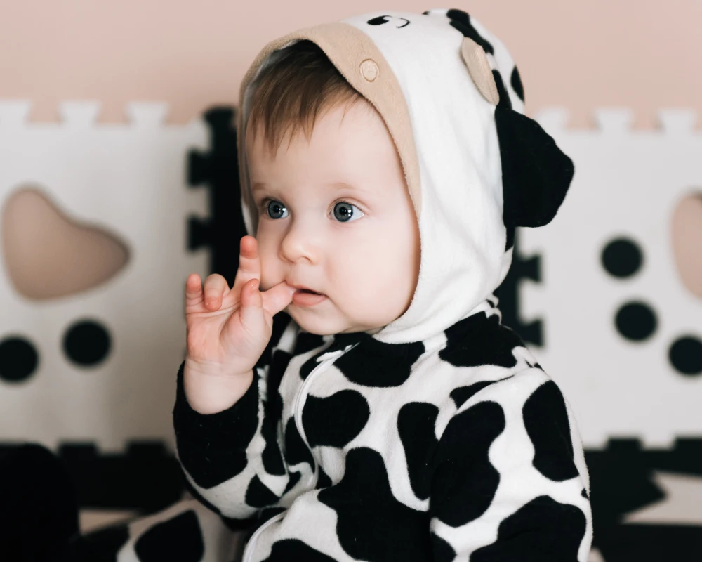 bassinet with rocker